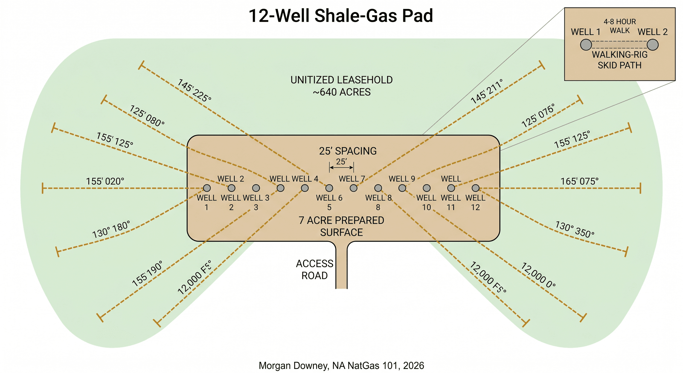 A plan view of a 12-well shale-gas pad on roughly 640 acres of unitized leasehold, with twelve surface wellheads in two rows on a 7-acre prepared surface, twelve laterals fanning out beneath at azimuths from 130 degrees to 165 degrees, each lateral 12,000 feet in length with 25-foot well spacing at the surface. An inset shows the walking-rig skid path that moves the rig from one well slot to the next.